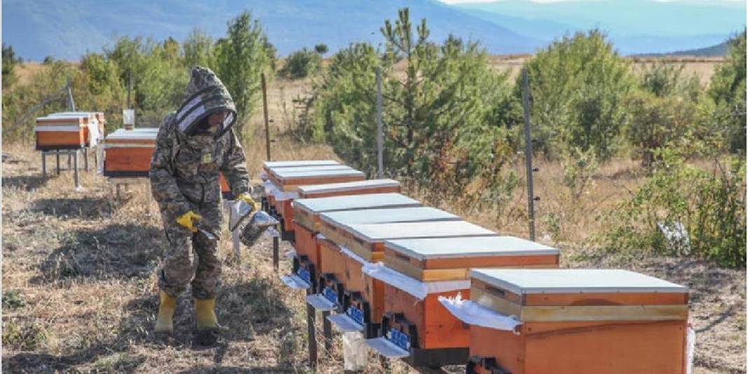 İstanbul’dan yola çıkıyor 900 km gidiyor! Arıları için vazgeçmiyor: Bakımlarını ihmal etmiyor 4